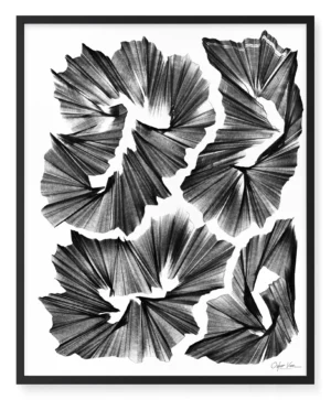 66