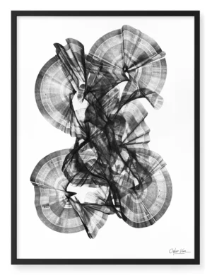 25