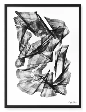 36