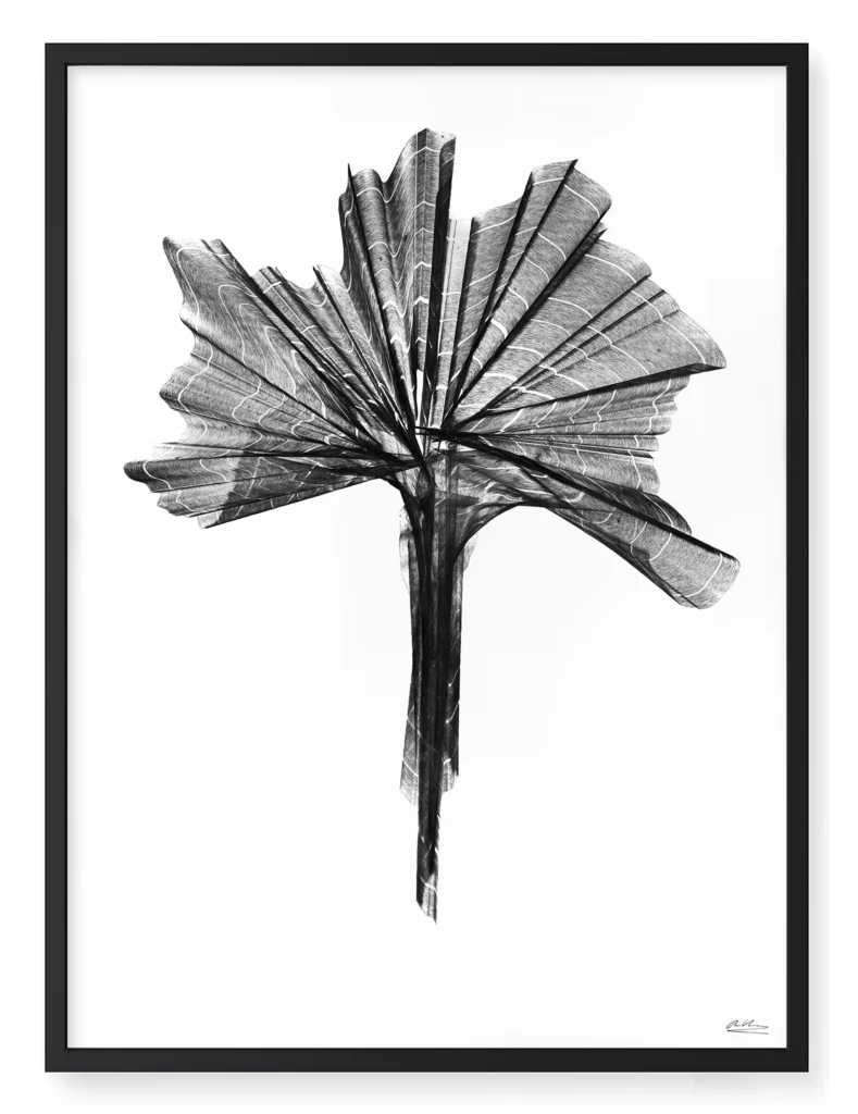 OV_Master_Mock_179d_A1